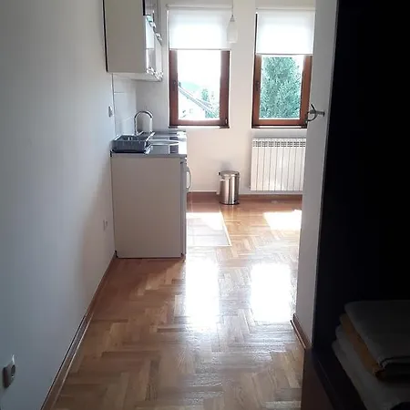 Ivanovic Apartment *